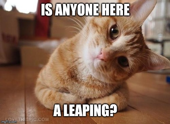 A leapling is someone born on the 29th of February. I'm one! | IS ANYONE HERE; A LEAPLING? | image tagged in curious question cat,memes,birthday | made w/ Imgflip meme maker