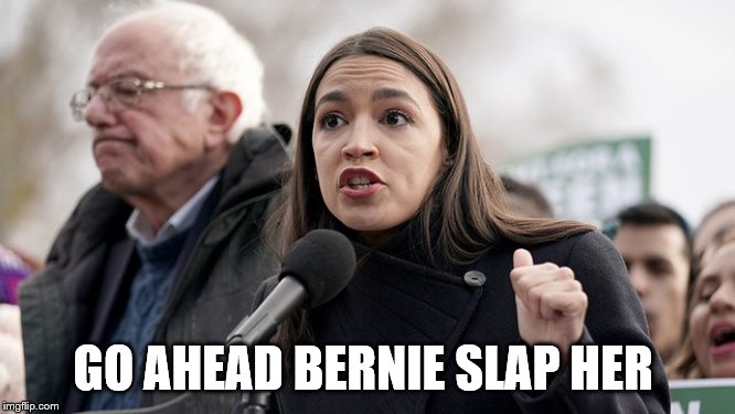 BERNIE | GO AHEAD BERNIE SLAP HER | image tagged in batman slapping robin | made w/ Imgflip meme maker