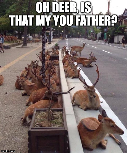 Oh Deer | OH DEER, IS THAT MY YOU FATHER? | image tagged in oh deer | made w/ Imgflip meme maker