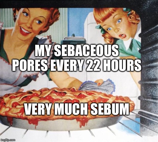 50's Wife cooking cherry pie | MY SEBACEOUS PORES EVERY 22 HOURS; VERY MUCH SEBUM | image tagged in 50's wife cooking cherry pie | made w/ Imgflip meme maker