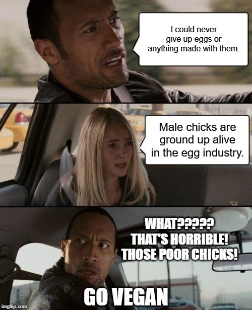 The Rock Driving | I could never give up eggs or anything made with them. Male chicks are ground up alive in the egg industry. WHAT????? THAT'S HORRIBLE! THOSE POOR CHICKS! GO VEGAN | image tagged in memes,the rock driving | made w/ Imgflip meme maker
