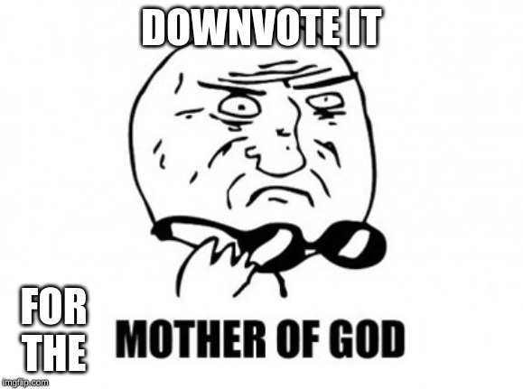 Mother Of God Meme | DOWNVOTE IT FOR THE | image tagged in memes,mother of god | made w/ Imgflip meme maker