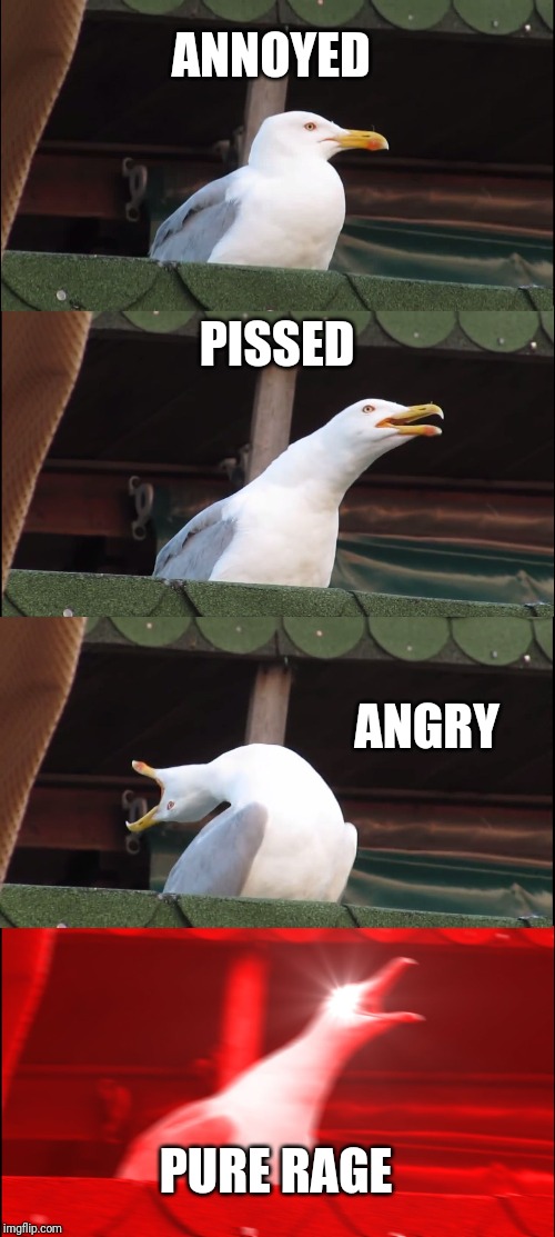 Inhaling Seagull | ANNOYED; PISSED; ANGRY; PURE RAGE | image tagged in memes,inhaling seagull | made w/ Imgflip meme maker