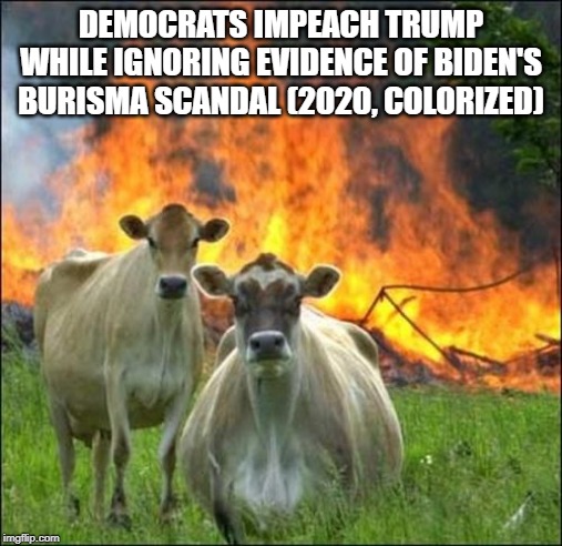 Evil Cows Meme | DEMOCRATS IMPEACH TRUMP WHILE IGNORING EVIDENCE OF BIDEN'S BURISMA SCANDAL (2020, COLORIZED) | image tagged in memes,evil cows | made w/ Imgflip meme maker