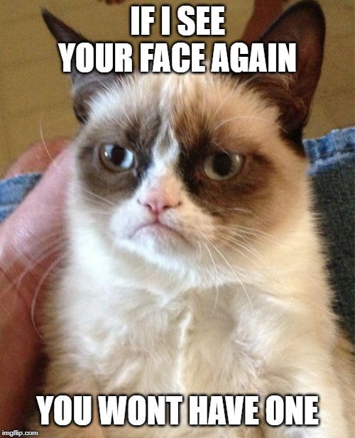 Grumpy Cat | IF I SEE YOUR FACE AGAIN; YOU WONT HAVE ONE | image tagged in memes,grumpy cat | made w/ Imgflip meme maker