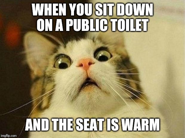 Scared Cat | WHEN YOU SIT DOWN ON A PUBLIC TOILET; AND THE SEAT IS WARM | image tagged in memes,scared cat,AdviceAnimals | made w/ Imgflip meme maker