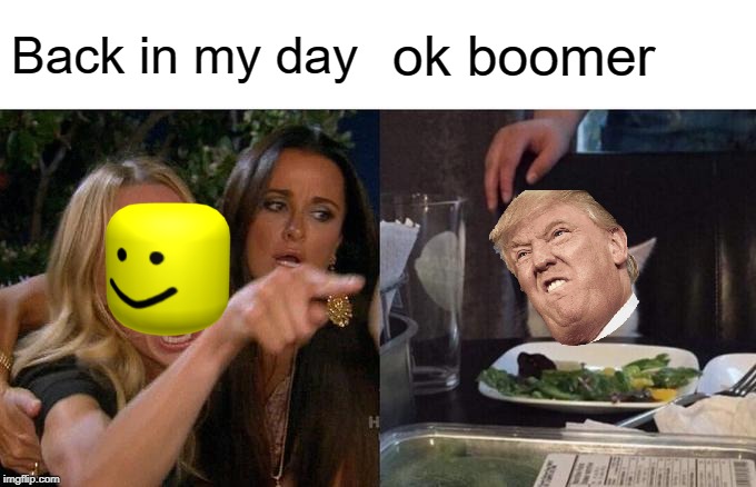 Woman Yelling At Cat | Back in my day; ok boomer | image tagged in memes,woman yelling at cat | made w/ Imgflip meme maker