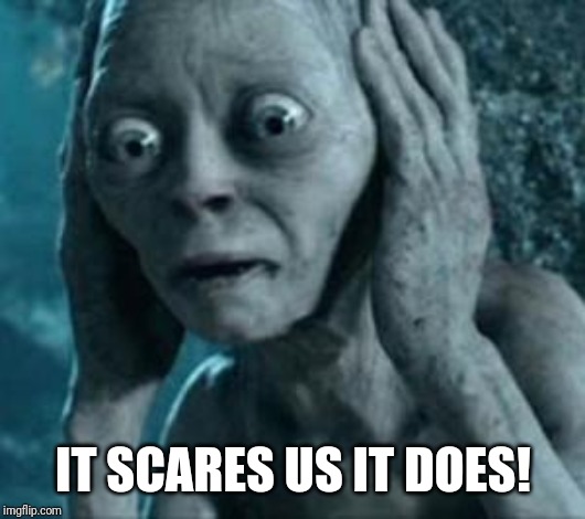Scared Gollum | IT SCARES US IT DOES! | image tagged in scared gollum | made w/ Imgflip meme maker