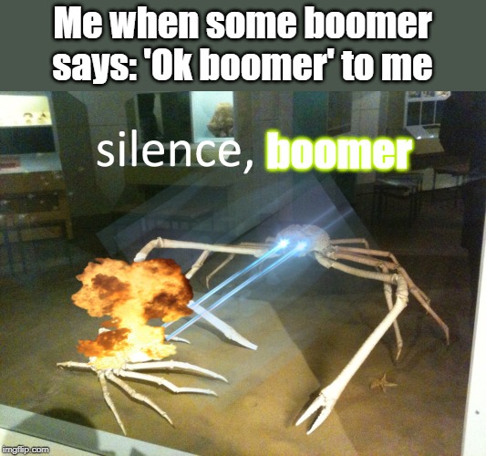 silence | Me when some boomer says: 'Ok boomer' to me; boomer | image tagged in silence | made w/ Imgflip meme maker