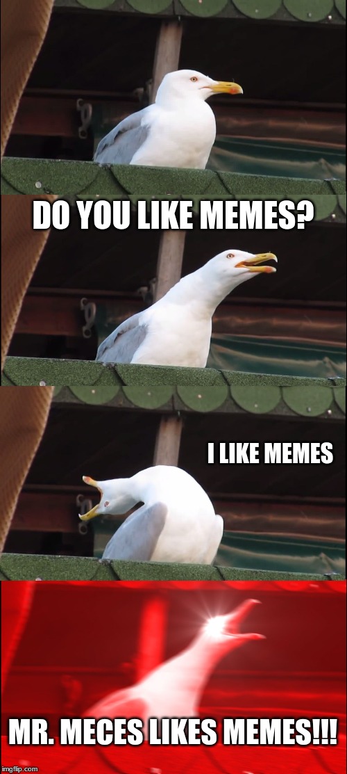 Inhaling Seagull Meme | DO YOU LIKE MEMES? I LIKE MEMES; MR. MECES LIKES MEMES!!! | image tagged in memes,inhaling seagull | made w/ Imgflip meme maker