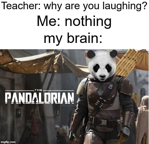 My brain | Teacher: why are you laughing? Me: nothing; my brain: | image tagged in mandalorian,funny,memes,panda,brain,teacher | made w/ Imgflip meme maker