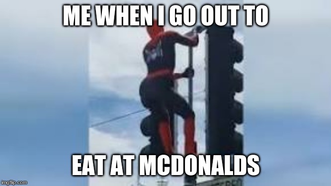 spiderman on a pole | ME WHEN I GO OUT TO; EAT AT MCDONALDS | image tagged in spiderman on a pole | made w/ Imgflip meme maker