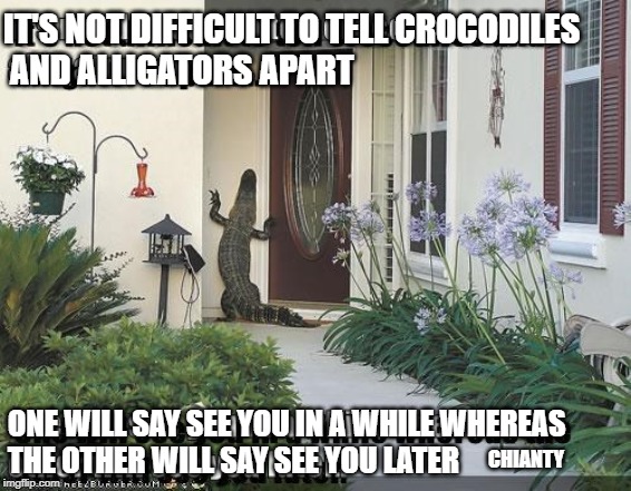Not Difficult | IT'S NOT DIFFICULT TO TELL CROCODILES
 AND ALLIGATORS APART; CHIANTY; ONE WILL SAY SEE YOU IN A WHILE WHEREAS 
THE OTHER WILL SAY SEE YOU LATER | image tagged in alligators | made w/ Imgflip meme maker