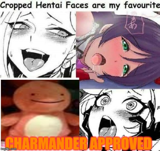 Cropped Hentai Faces are my favourite | CHARMANDER APPROVED | image tagged in cropped hentai faces are my favourite | made w/ Imgflip meme maker
