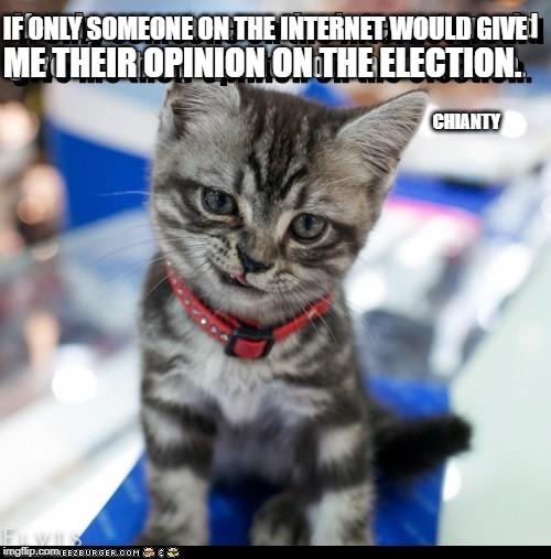 If only | IF ONLY SOMEONE ON THE INTERNET WOULD GIVE; ME THEIR OPINION ON THE ELECTION. CHIANTY | image tagged in opinion | made w/ Imgflip meme maker