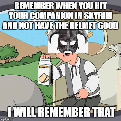 Pepperidge Farm Remembers | REMEMBER WHEN YOU HIT YOUR COMPANION IN SKYRIM AND NOT HAVE THE HELMET GOOD; I WILL REMEMBER THAT | image tagged in memes,pepperidge farm remembers | made w/ Imgflip meme maker