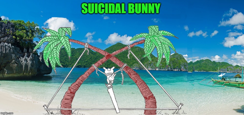Suicidal bunny | SUICIDAL BUNNY | image tagged in bunny,suicide | made w/ Imgflip meme maker