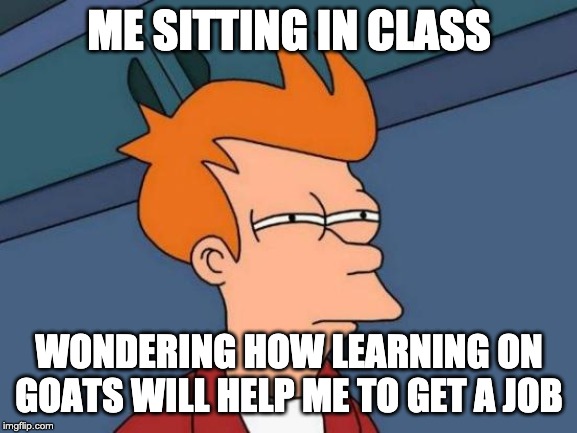 Futurama Fry | ME SITTING IN CLASS; WONDERING HOW LEARNING ON GOATS WILL HELP ME TO GET A JOB | image tagged in memes,futurama fry | made w/ Imgflip meme maker