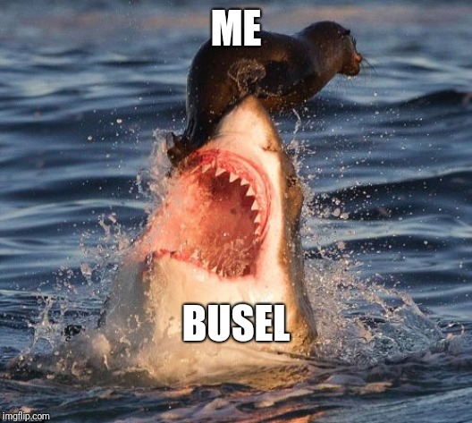 Travelonshark | ME; BUSEL | image tagged in memes,travelonshark | made w/ Imgflip meme maker