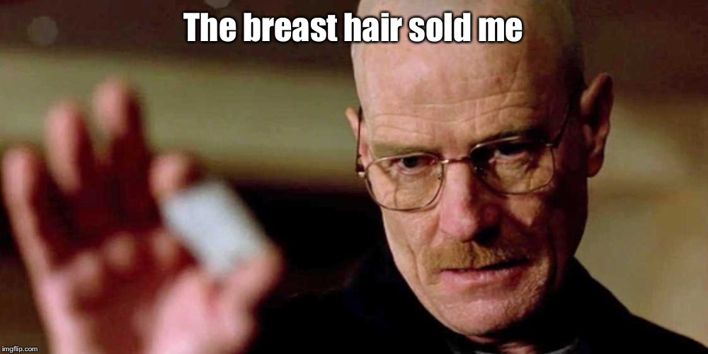 This is not meth breaking bad Walter White | The breast hair sold me | image tagged in this is not meth breaking bad walter white | made w/ Imgflip meme maker