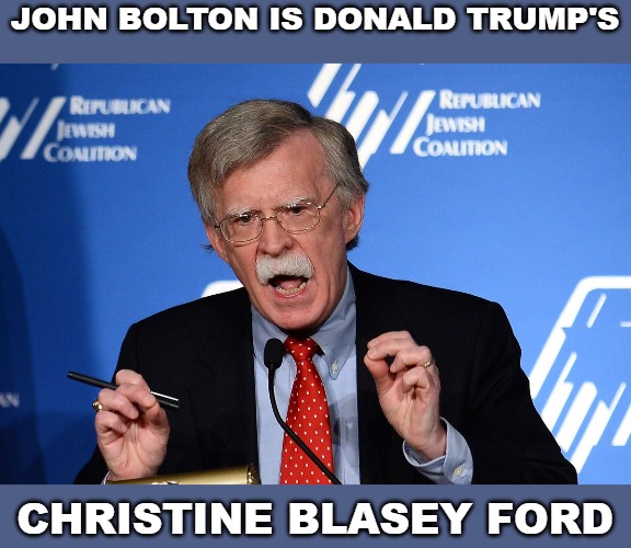 This bullspit will never end. Democrats are some of the most vile creatures on the planet. | JOHN BOLTON IS DONALD TRUMP'S; CHRISTINE BLASEY FORD | image tagged in john bolton - wacko,john bolton,donald trump,christine blasey ford,hoax | made w/ Imgflip meme maker
