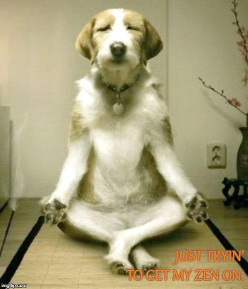 Inner Peace Dog | JUST TRYIN' TO GET MY ZEN ON. | image tagged in inner peace dog | made w/ Imgflip meme maker