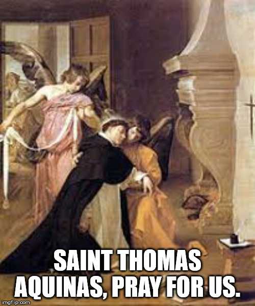 Saint Thomas Aquinas | SAINT THOMAS AQUINAS, PRAY FOR US. | image tagged in catholic church | made w/ Imgflip meme maker