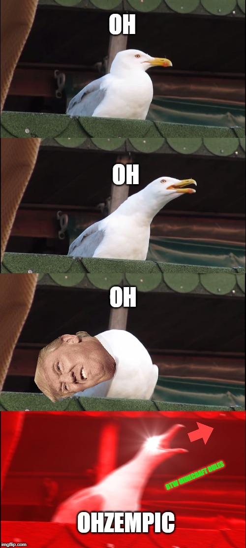 Inhaling Seagull Meme | OH; OH; OH; BTW MINECRAFT RULES; OHZEMPIC | image tagged in memes,inhaling seagull | made w/ Imgflip meme maker