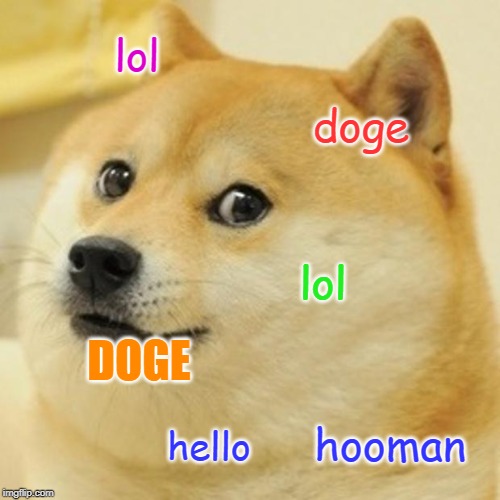 Doge Meme | lol; doge; lol; DOGE; hooman; hello | image tagged in memes,doge | made w/ Imgflip meme maker