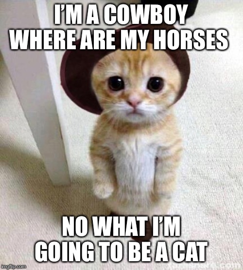 Cute Cat | I’M A COWBOY WHERE ARE MY HORSES; NO WHAT I’M GOING TO BE A CAT | image tagged in cute cat | made w/ Imgflip meme maker