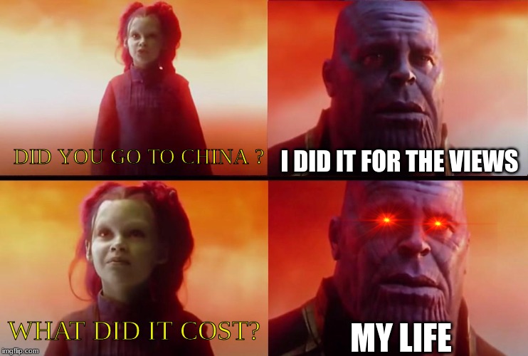 thanos what did it cost | I DID IT FOR THE VIEWS; DID YOU GO TO CHINA ? WHAT DID IT COST? MY LIFE | image tagged in thanos what did it cost | made w/ Imgflip meme maker