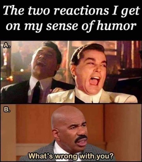 The Two Reactions I Get On My Sense of Humor | image tagged in dark humor,far side,far side humor,political humor,bathroom humor,sense of humor | made w/ Imgflip meme maker