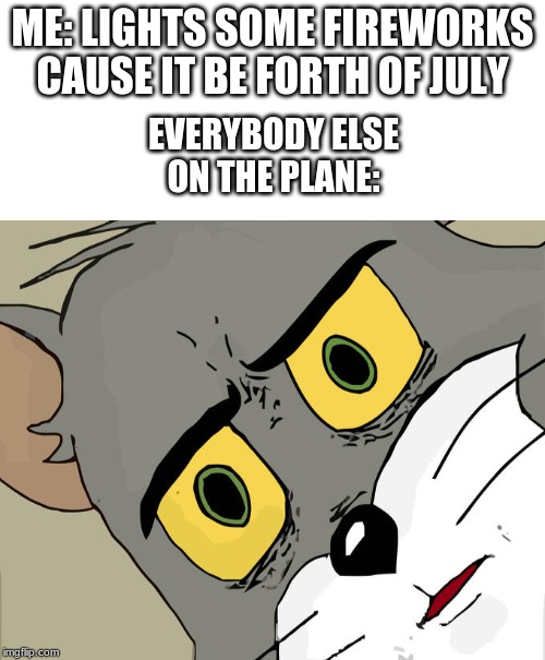 kattie perry's firework has a new meaning | ME: LIGHTS SOME FIREWORKS CAUSE IT BE FORTH OF JULY; EVERYBODY ELSE ON THE PLANE: | image tagged in blank white template,memes,unsettled tom,airplane,funny | made w/ Imgflip meme maker