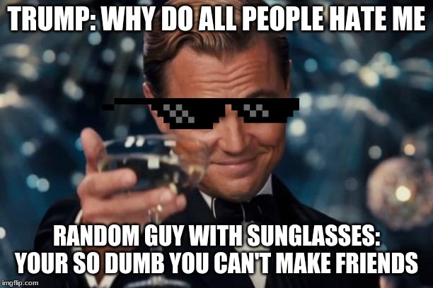 Leonardo Dicaprio Cheers | TRUMP: WHY DO ALL PEOPLE HATE ME; RANDOM GUY WITH SUNGLASSES: YOUR SO DUMB YOU CAN'T MAKE FRIENDS | image tagged in memes,leonardo dicaprio cheers | made w/ Imgflip meme maker