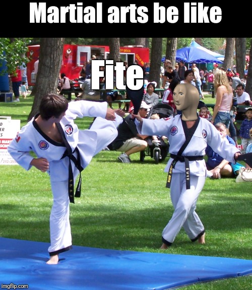 Martial arts be like | Martial arts be like; Fite | image tagged in meme man | made w/ Imgflip meme maker