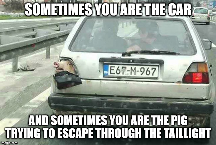 SOMETIMES YOU ARE THE CAR; AND SOMETIMES YOU ARE THE PIG TRYING TO ESCAPE THROUGH THE TAILLIGHT | image tagged in sometimes | made w/ Imgflip meme maker
