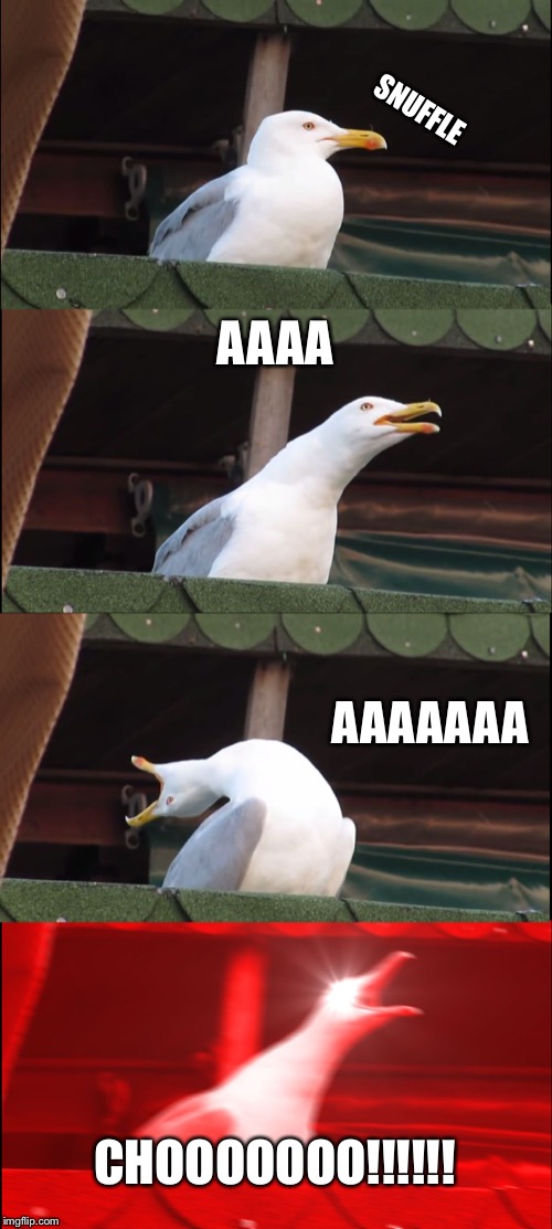 Inhaling Seagull Meme | SNUFFLE; AAAA; AAAAAAA; CHOOOOOOO!!!!!! | image tagged in memes,inhaling seagull | made w/ Imgflip meme maker