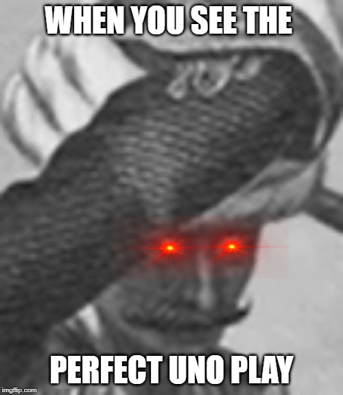 UNO NOU | WHEN YOU SEE THE; PERFECT UNO PLAY | image tagged in no u,no upvotes | made w/ Imgflip meme maker