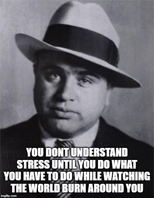 Misunderstood gangster | YOU DONT UNDERSTAND STRESS UNTIL YOU DO WHAT YOU HAVE TO DO WHILE WATCHING THE WORLD BURN AROUND YOU | image tagged in misunderstood gangster | made w/ Imgflip meme maker