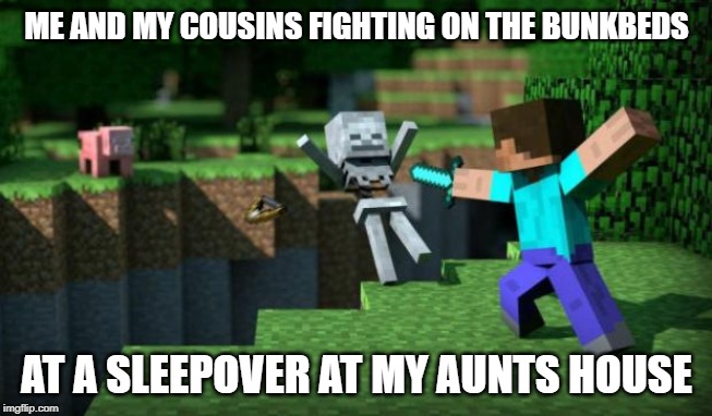 minecraft swordsman  | ME AND MY COUSINS FIGHTING ON THE BUNKBEDS; AT A SLEEPOVER AT MY AUNTS HOUSE | image tagged in minecraft swordsman | made w/ Imgflip meme maker