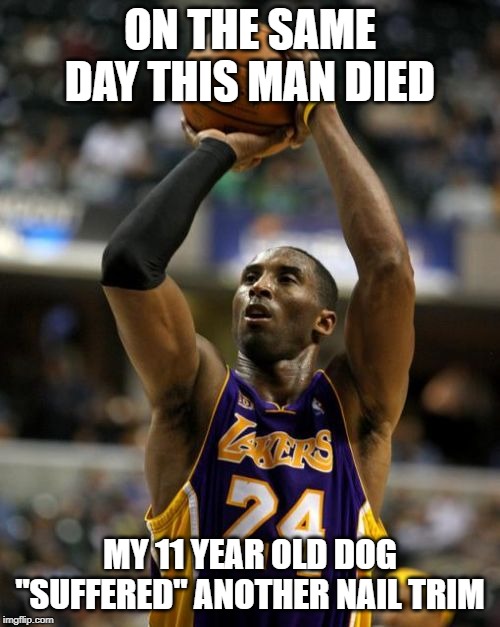 Kobe | ON THE SAME DAY THIS MAN DIED; MY 11 YEAR OLD DOG "SUFFERED" ANOTHER NAIL TRIM | image tagged in memes,kobe | made w/ Imgflip meme maker