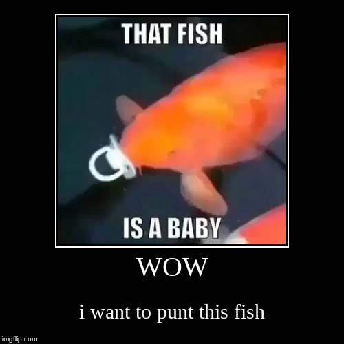 HHHH | image tagged in funny,demotivationals,weird,wack,baby,fish | made w/ Imgflip demotivational maker