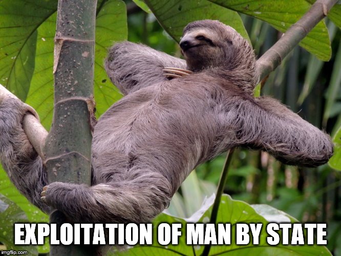 Lazy Sloth | EXPLOITATION OF MAN BY STATE | image tagged in lazy sloth | made w/ Imgflip meme maker