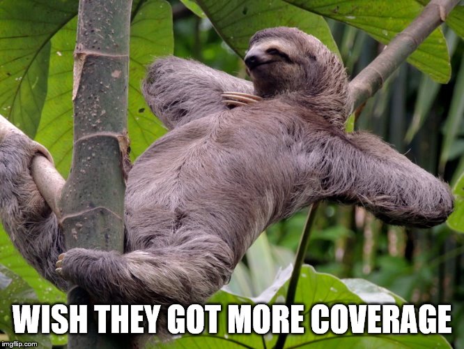 Lazy Sloth | WISH THEY GOT MORE COVERAGE | image tagged in lazy sloth | made w/ Imgflip meme maker