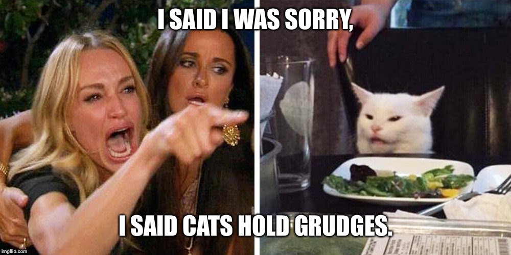 Smudge the cat | I SAID I WAS SORRY, I SAID CATS HOLD GRUDGES. | image tagged in smudge the cat | made w/ Imgflip meme maker
