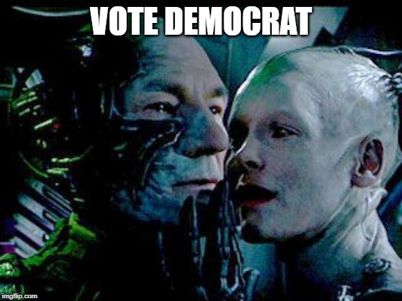 borg | VOTE DEMOCRAT | image tagged in borg | made w/ Imgflip meme maker
