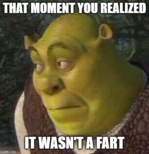 Shrek | THAT MOMENT YOU REALIZED; IT WASN'T A FART | image tagged in shrek | made w/ Imgflip meme maker