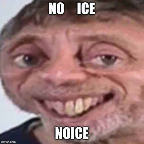 Noice | NO     ICE NOICE | image tagged in noice | made w/ Imgflip meme maker