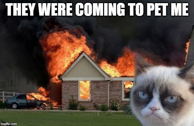 Burn Kitty Meme | THEY WERE COMING TO PET ME | image tagged in memes,burn kitty,grumpy cat | made w/ Imgflip meme maker