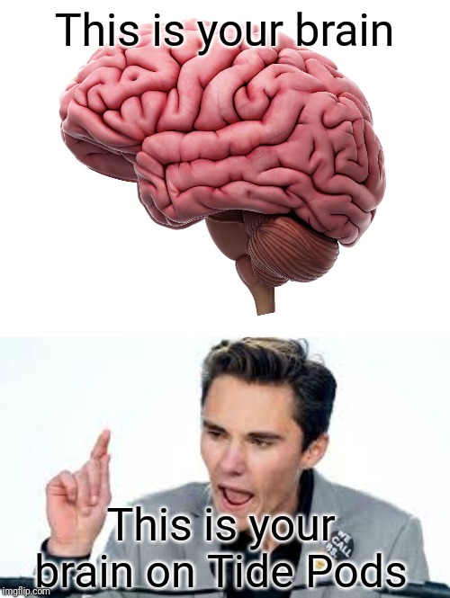 This is your brain; This is your brain on Tide Pods | made w/ Imgflip meme maker